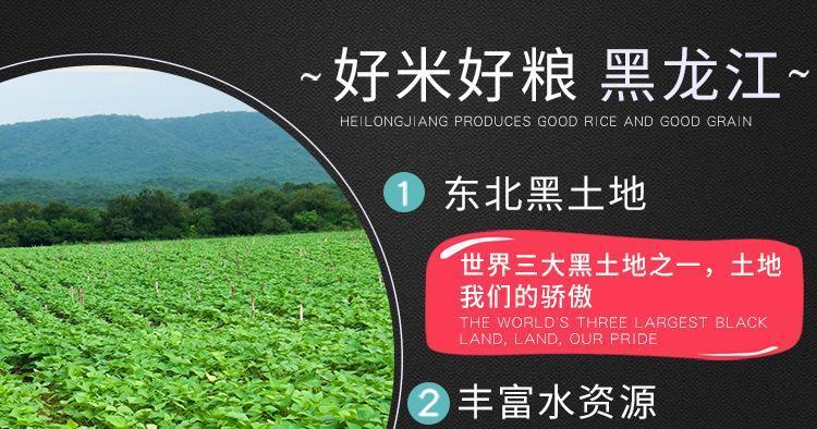 有机糯米 江米东北糯米端午包粽子米厂家批发团购 和粮农业_2371272c.jpg
