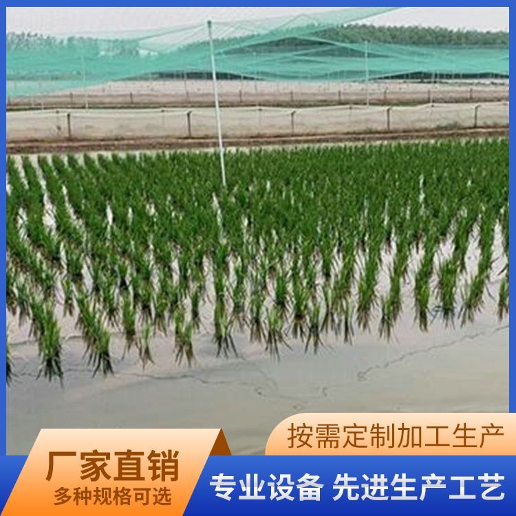 提供技术 其他特种养殖动物供应 成活率 95 供青蛙苗种_33c94ebb.jpg